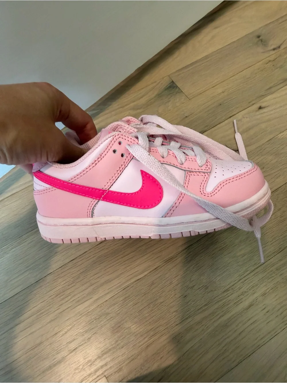 Nike dunks size 11 NEW